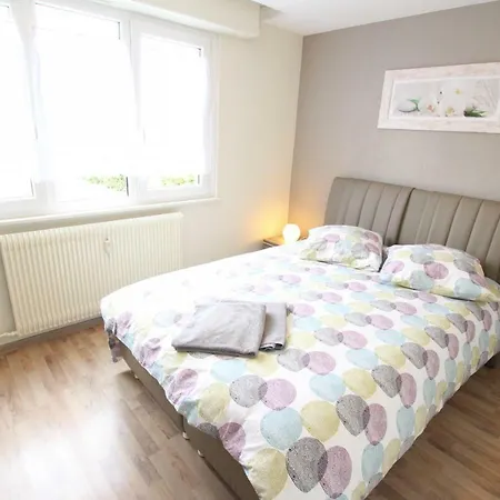 Center - Quiet Symphonie Terrasse - Bookingalsace Daire